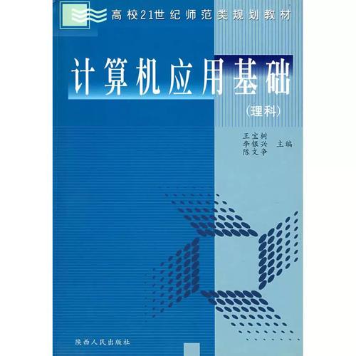 二手正版计算机应用基础 软件开发入门的智慧之选
